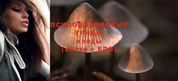 прущий лед Строитель