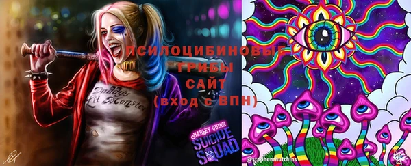ПСИЛОЦИБИНОВЫЕ ГРИБЫ Белокуриха