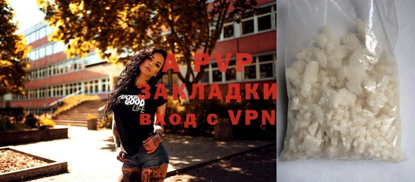 ПСИЛОЦИБИНОВЫЕ ГРИБЫ Белокуриха