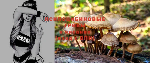 MESCALINE Богданович