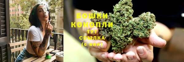 индика Белоозёрский