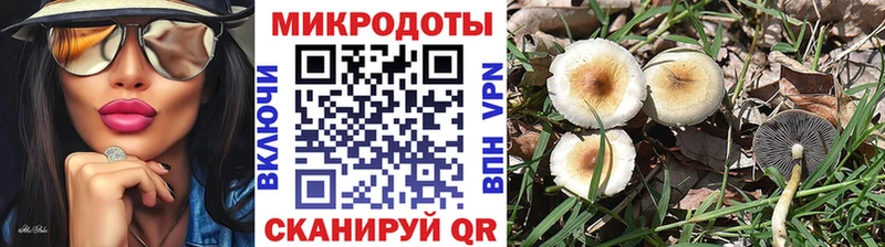 Галлюциногенные грибы Psilocybine cubensis  где купить наркотик  Гаврилов-Ям 